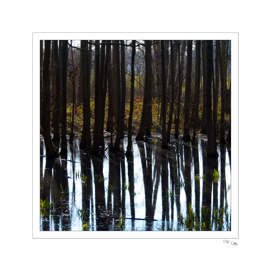 halbehalbe Foto & Bild landschaft, natur Bilder auf