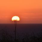 Halbe Sonne auf Stelzen