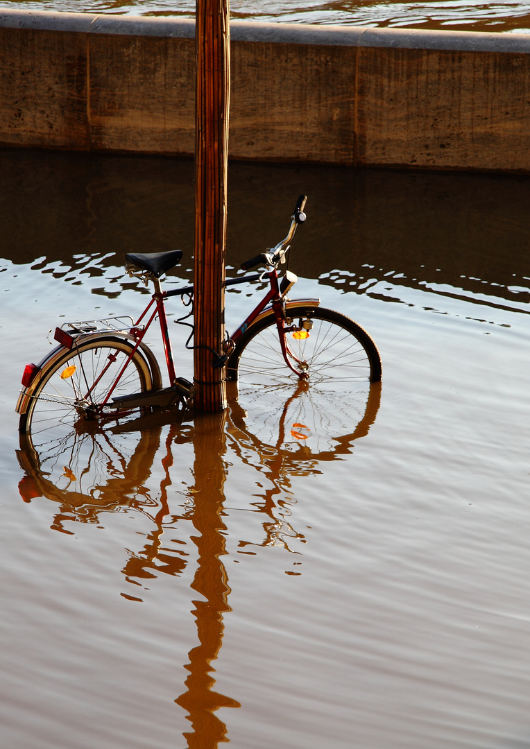 halbes Fahrrad