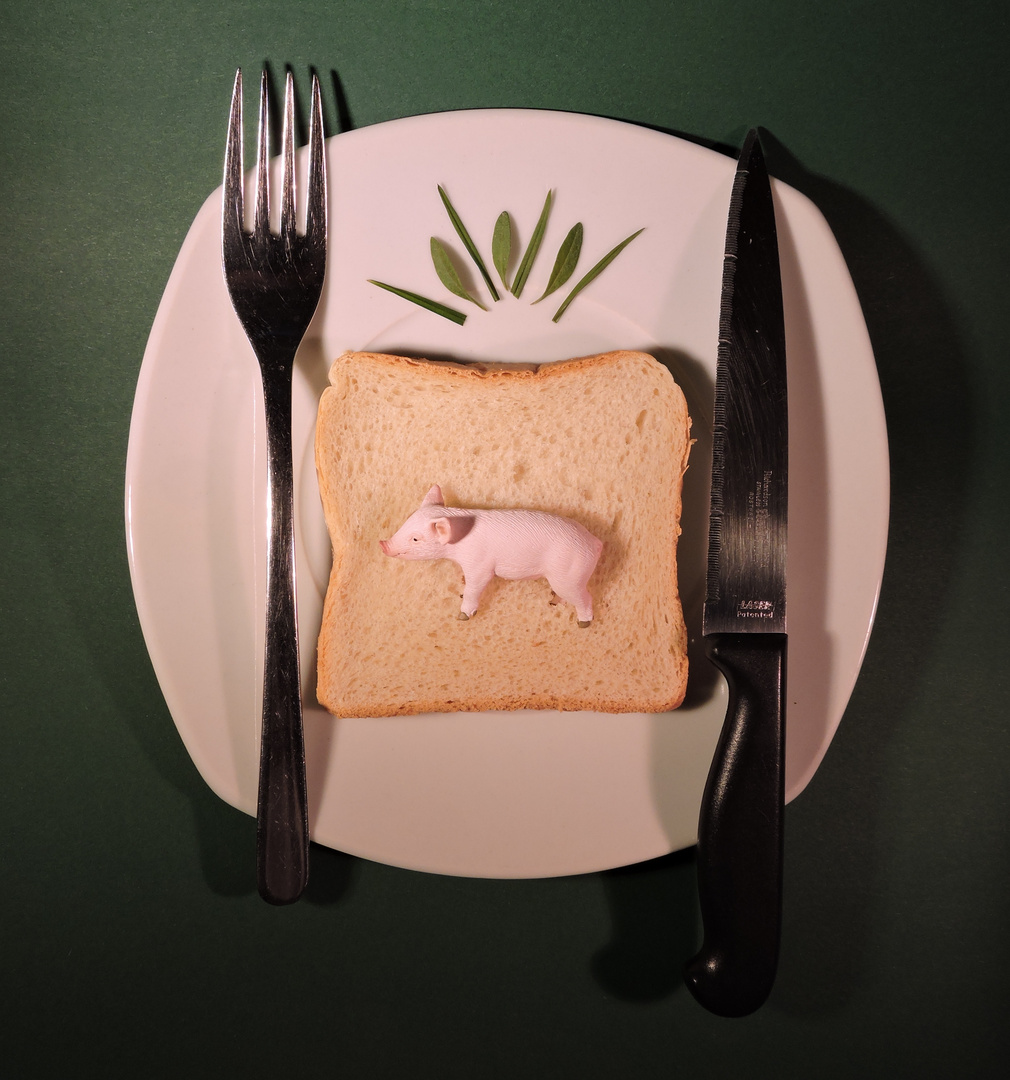 Halbes Schwein auf Toast mit umfangreichem Salatbouquet