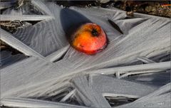 - halbgefrorenes Obst -