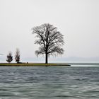 Halbinsel am Schweriner Schloßpark (1)