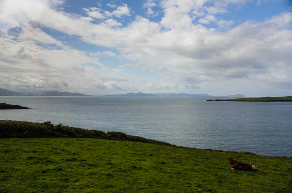 Halbinsel Dingle 2, Irland