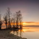 Halbinsel im Starnbergersee