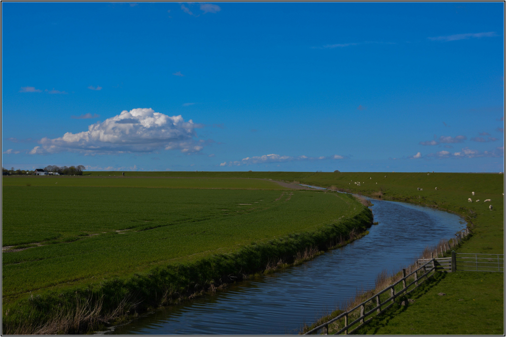 Halbinsel Nordstrand (2)