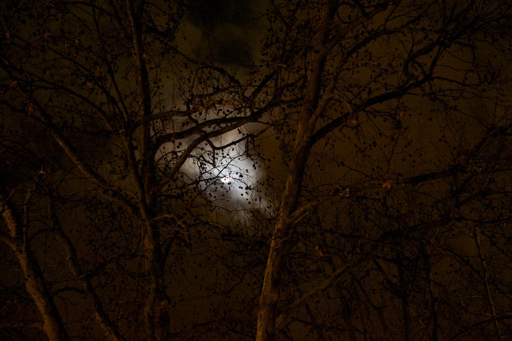 Halbmond Foto & Bild | landschaft, naturlandschaft bei nacht, nacht