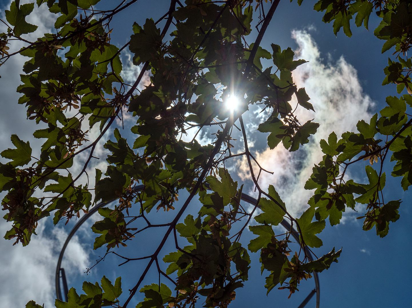 halbschatten ist angenehm...