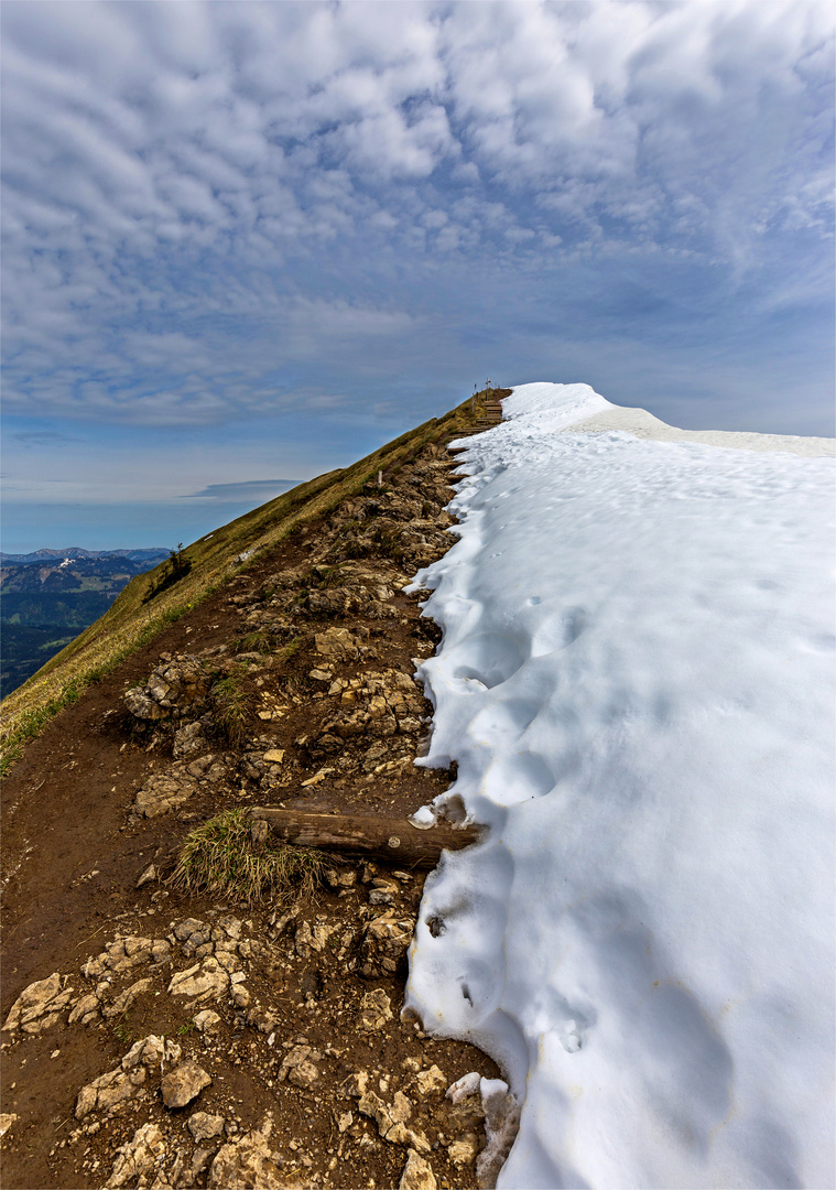 Halbschnee