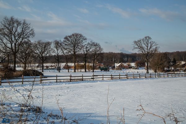 Halbtagsschnee in der Ried