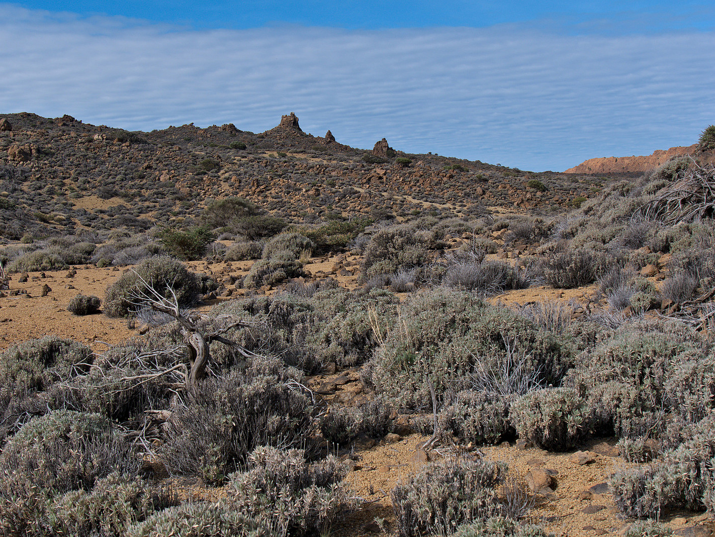 Halbwüste im Teide-Nationalpark auf Teneriffa