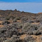 Halbwüste im Teide-Nationalpark auf Teneriffa