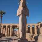 "Halbzeit" bei Ramses II mit Frisur im Karnaktempel
