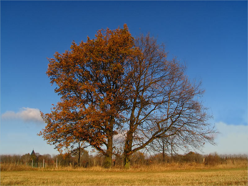 Halbzeit