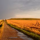 Halde Beerwalde im schönsten Abendlicht