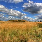 Halde "Großes Holz"