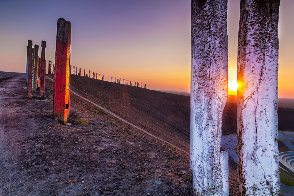 Halde Haniel bei Sonnenuntergang