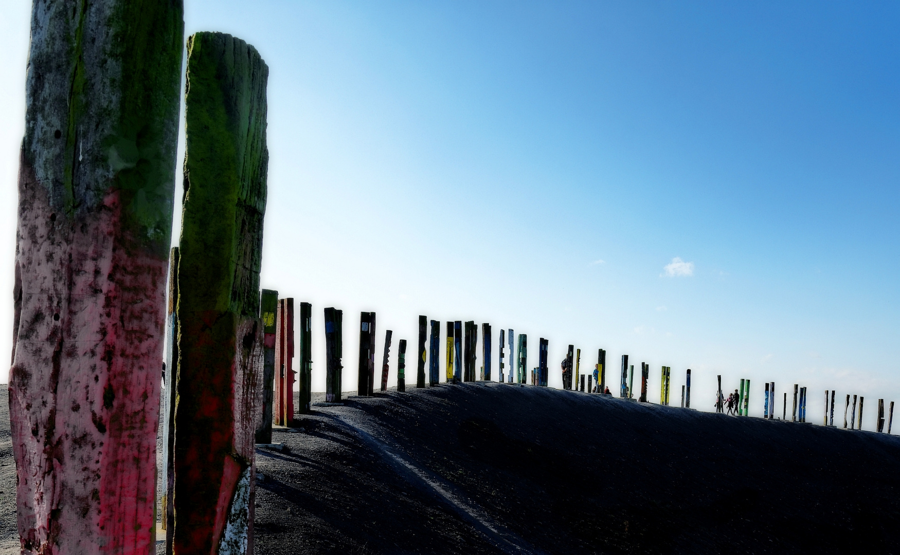 Halde Haniel  die "Totems"