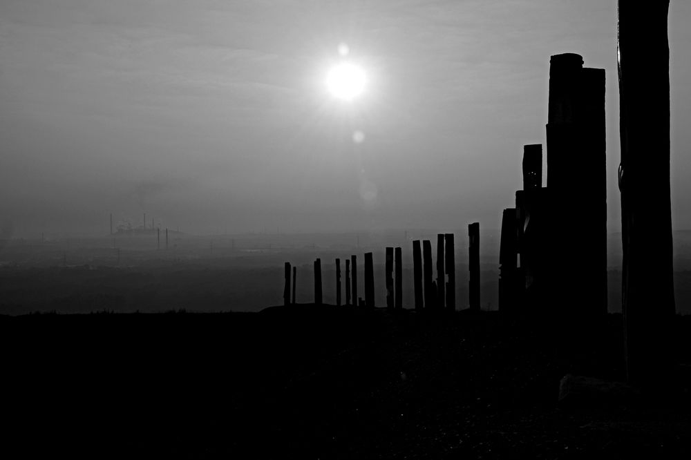 Halde Haniel, Totems