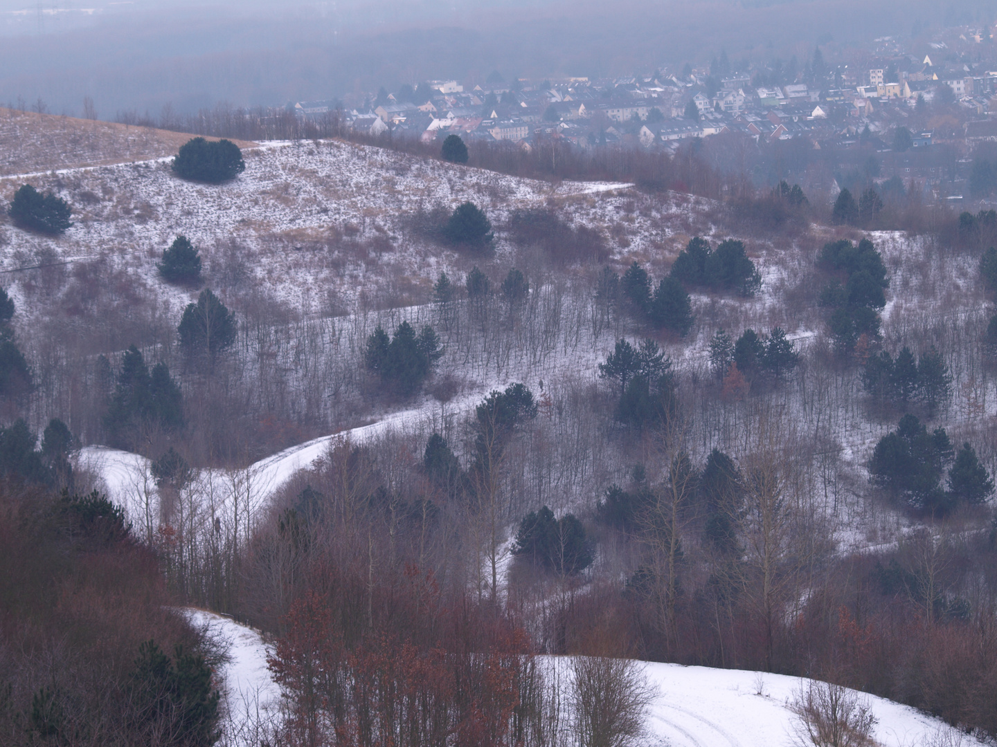 Halde Hohenward im Winter