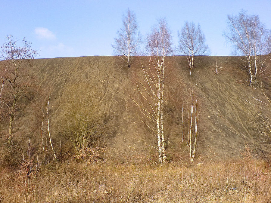 Halde in Bochum-Gerthe