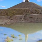 Halde Rhein-Elbe mit Himmelstreppe