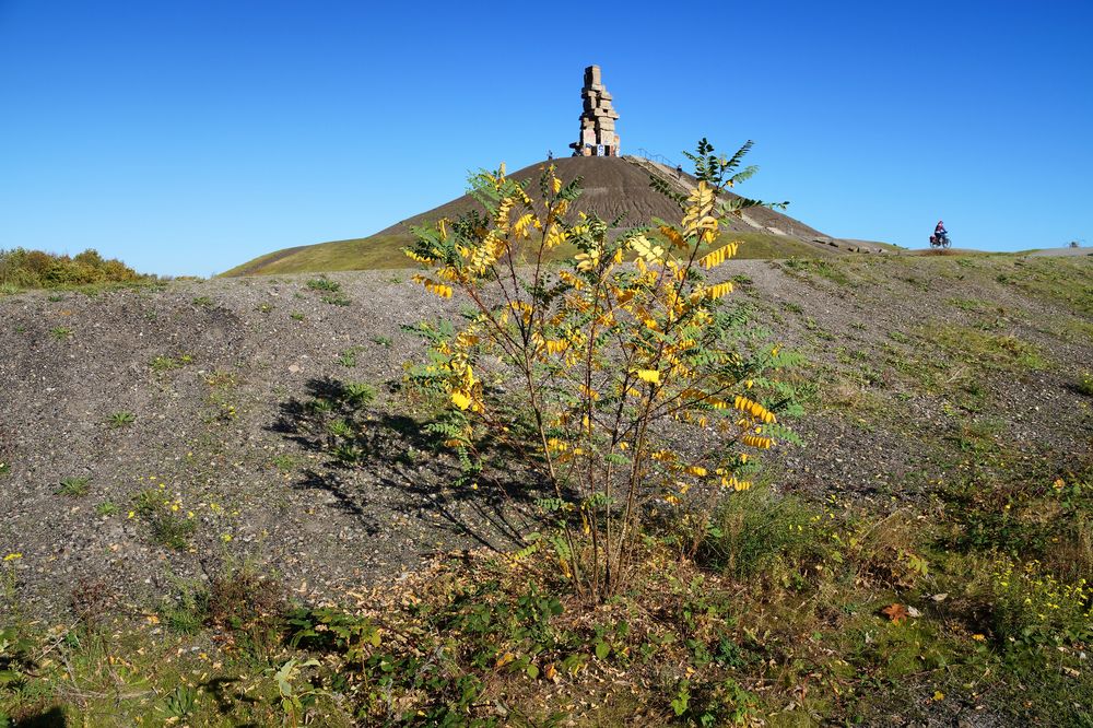 Halde Rheinelbe in Gelsenkirchen