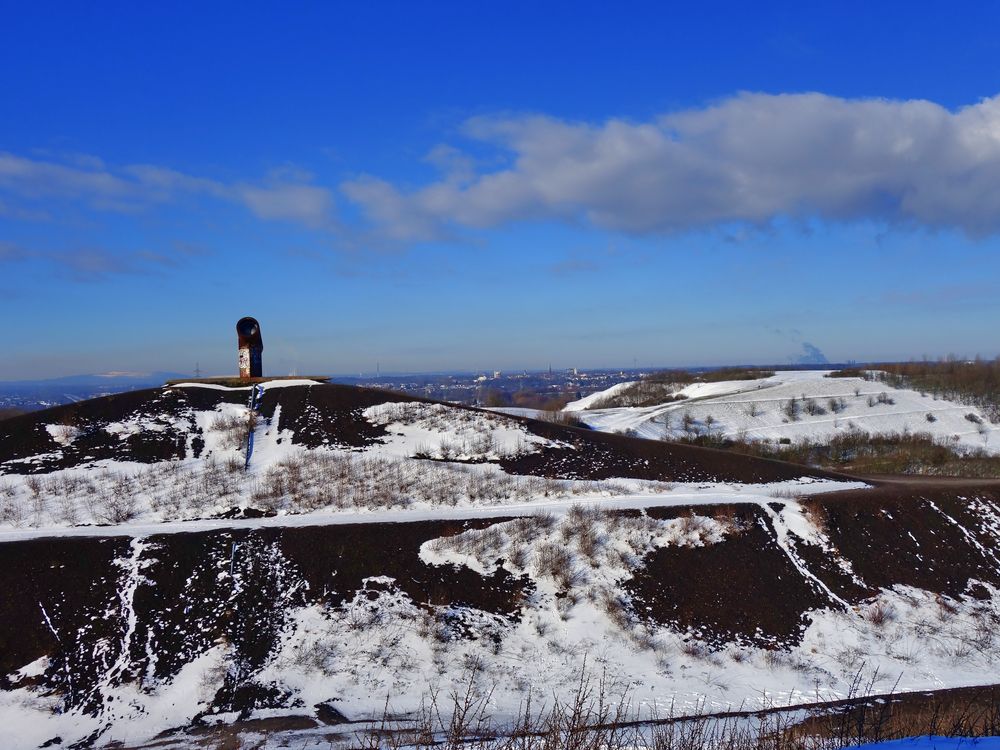 Halde Rungenberg in Gelsenkirchen - Februar 2021