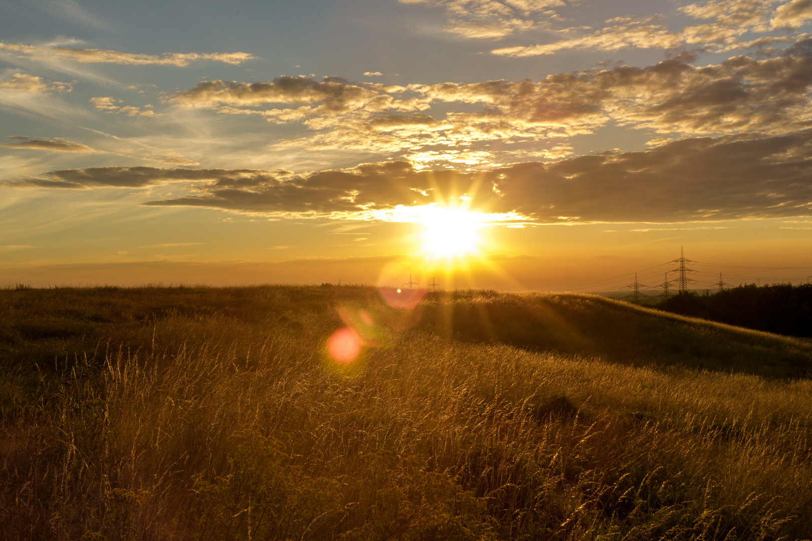 Halde Scholven