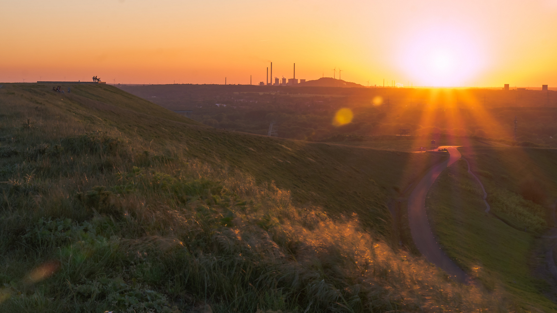 Haldenblick (11)