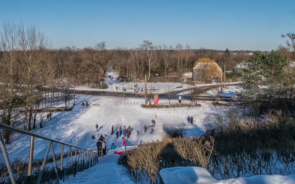 Haldenblick (15) 