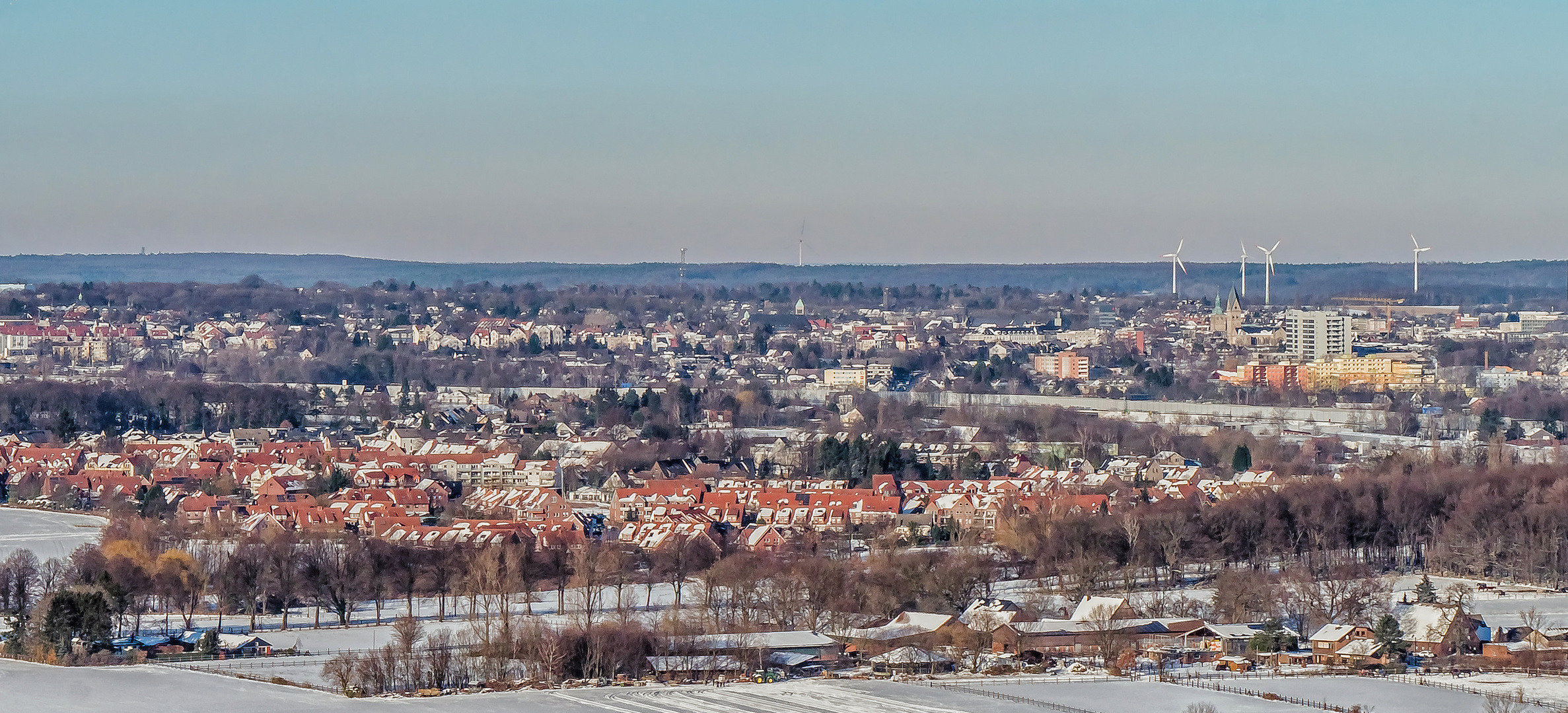 Haldenblick (22) 