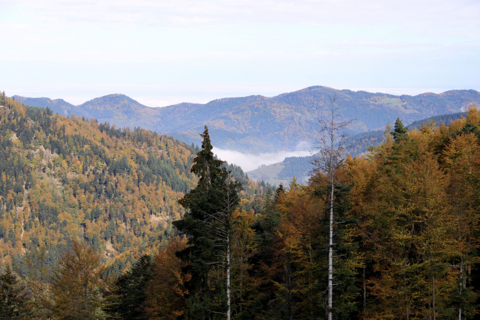 Haldenhof, Blick auf das eingenebelte obere Münstertal