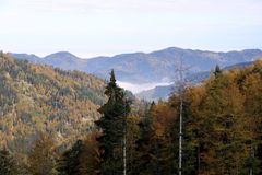 Haldenhof, Blick auf das eingenebelte obere Münstertal