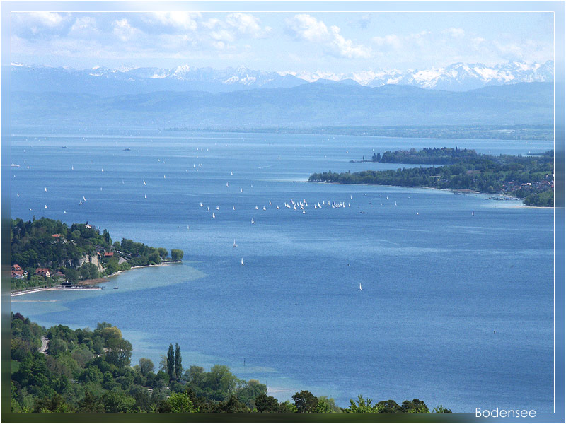 Haldenhof: Blick auf den Bodensee