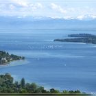 Haldenhof: Blick auf den Bodensee