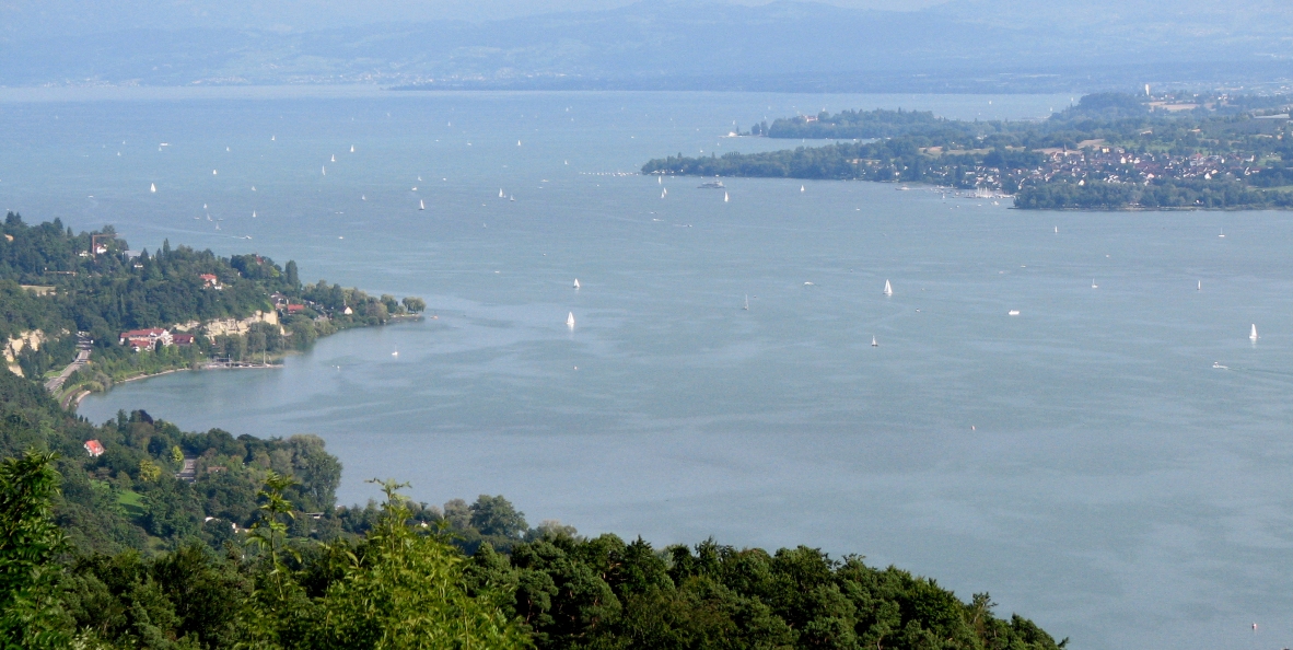 Haldenhofblick