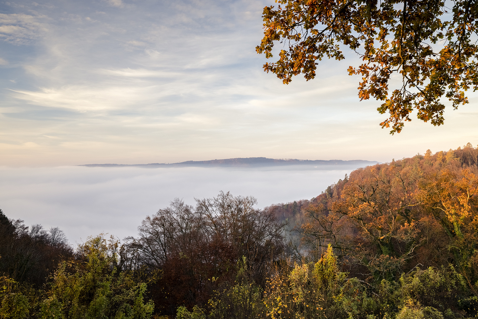 Haldenhofblick