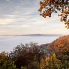 Haldenhofblick