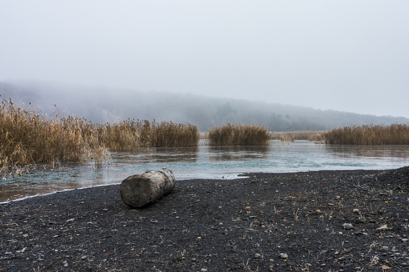 Haldenmotive, hier: Am Kohlbachweiher auf der Halde Göttelborn