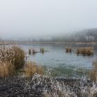 Haldenmotive, hier: am Kohlbachweiher auf der Halde Göttelborn