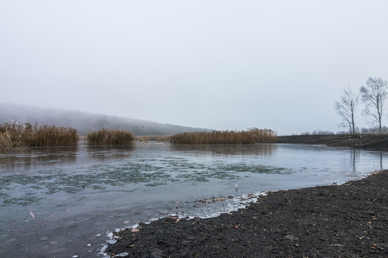 Haldenmotive, hier: am Kohlbachweiher auf der Halde Göttelborn