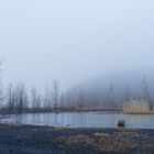 Haldenmotive, hier: auf dem Plateau der Halde Lydia Camphausen (Saarland) (34)