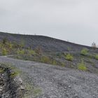 Haldenmotive, hier: auf dem Weg zum Plateau der Halde Göttelborn