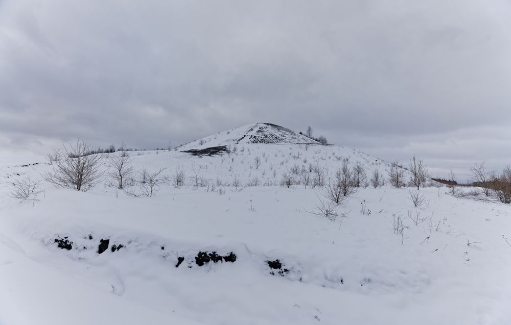 Haldenmotive, hier: auf dem Weg zum Plateau der Halde Göttelborn (2)