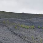 Haldenmotive, hier: auf dem Weg zum Plateau der Halde Göttelborn (2)