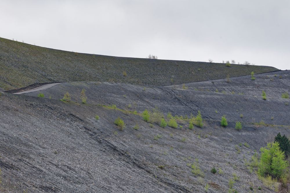 Haldenmotive, hier: auf dem Weg zum Plateau der Halde Göttelborn (2)