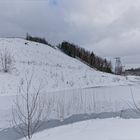 Haldenmotive, hier: auf dem Weg zum Plateau der Halde Göttelborn