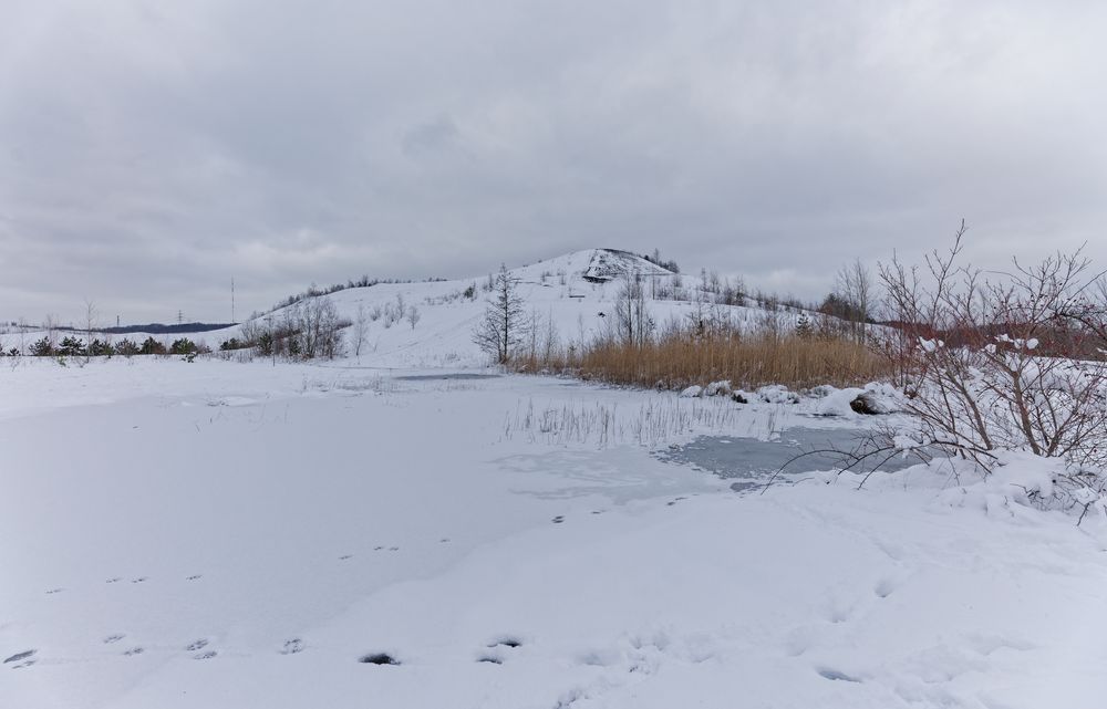 Haldenmotive, hier: auf dem Weg zum Plateau der Halde Göttelborn (3)