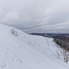 Haldenmotive, hier: auf dem Weg zum Plateau der Halde Göttelborn (4)