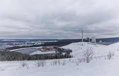 Haldenmotive, hier: auf dem Weg zum Plateau der Halde Göttelborn (6)